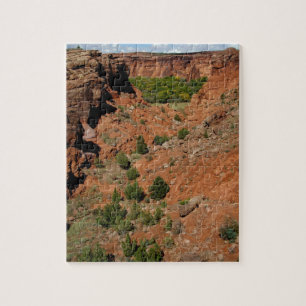 Nordamerika, USA, Arizona, Navajo Indian