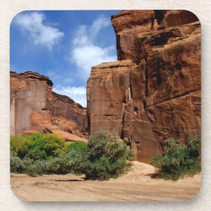 Nordamerika, USA, Arizona, Navajo Indian 5 Getränkeuntersetzer