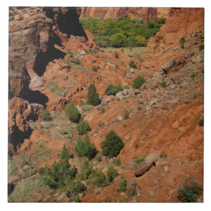 Nordamerika, USA, Arizona, Navajo Indian Fliese