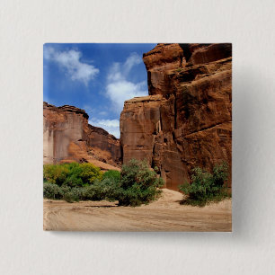 Nordamerika, USA, Arizona, Navajo Indianer 5 Button