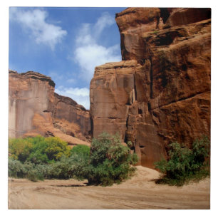 Nordamerika, USA, Arizona, Navajo Indianer 5 Fliese