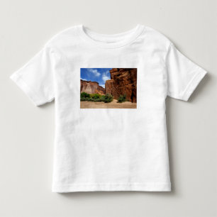 Nordamerika, USA, Arizona, Navajo Indianer 5 Kleinkind T-shirt