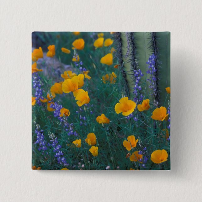 Nordamerika, USA, Arizona, Orgelpfeife Button (Vorderseite)