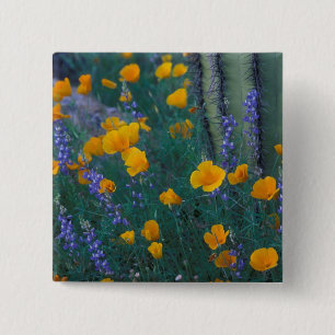 Nordamerika, USA, Arizona, Orgelpfeife Button