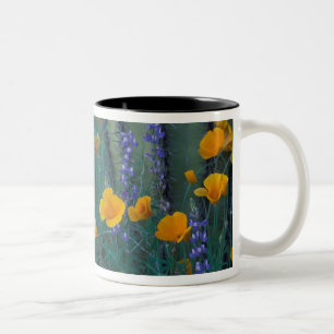 Nordamerika, USA, Arizona, Orgelpfeife Zweifarbige Tasse