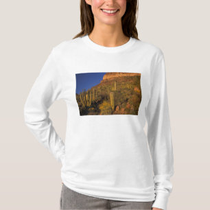 Nordamerika, USA, Arizona, Orgelpfeifenkaktus 2 T-Shirt