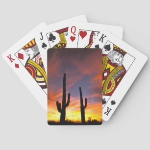 Nordamerika, USA, Arizona, Sonoran Desert. Spielkarten