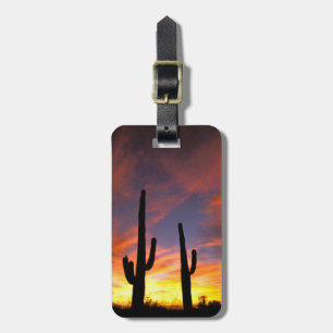 Nordamerika, USA, Arizona, Sonoran Wüste. Gepäckanhänger