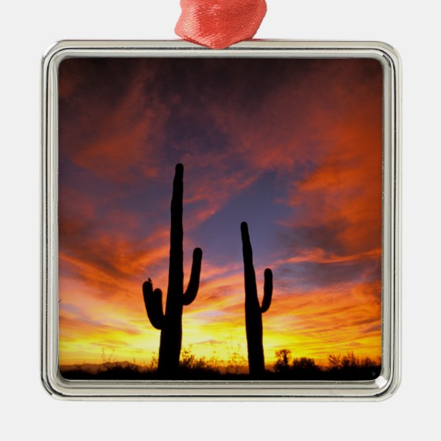 Nordamerika, USA, Arizona, Sonoran Wüste. Ornament Aus Metall (Vorne)
