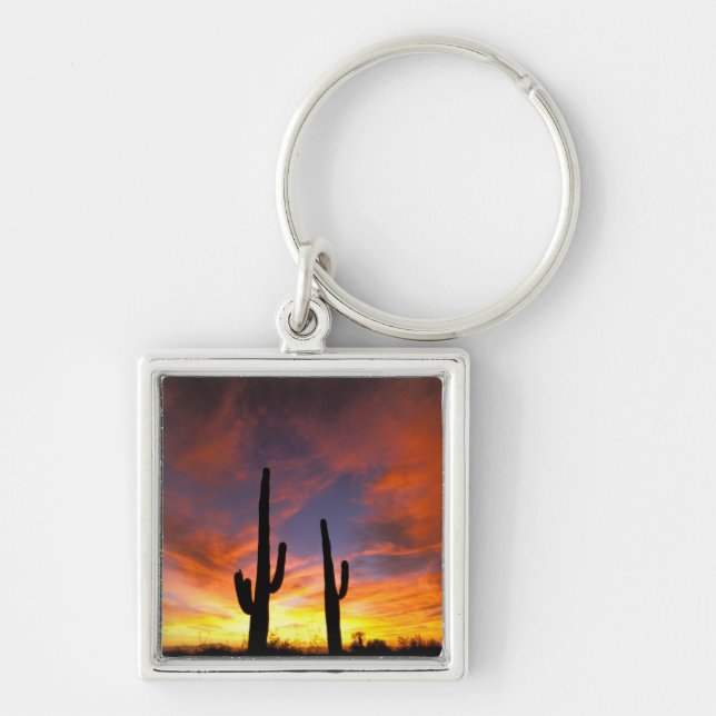 Nordamerika, USA, Arizona, Sonoran Wüste. Schlüsselanhänger (Vorne)