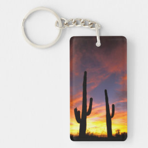 Nordamerika, USA, Arizona, Sonoran Wüste. Schlüsselanhänger