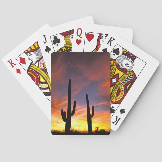 Nordamerika, USA, Arizona, Sonoran Wüste. Spielkarten (Rückseite)