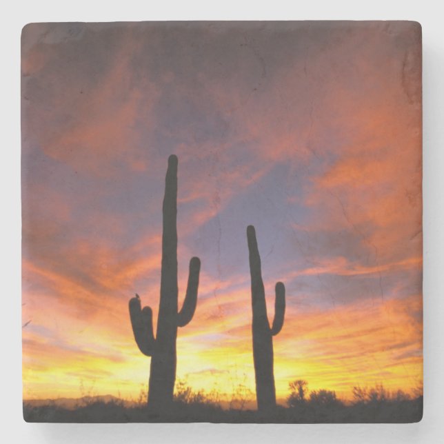 Nordamerika, USA, Arizona, Sonoran Wüste. Steinuntersetzer (Vorderseite)