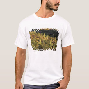 Nordamerika, USA, Arizona, Sonoran Wüste T-Shirt