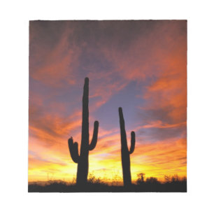 Nordamerika, USA, Arizona, Sonorische Wüste. Notizblock