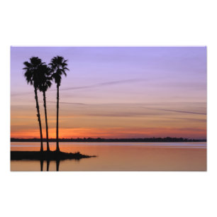 Nordamerika, USA, Florida, Dora, Trio Fotodruck