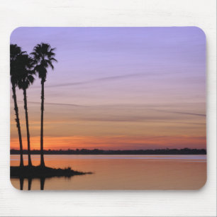 Nordamerika, USA, Florida, Mt. Dora, ein Trio Mousepad