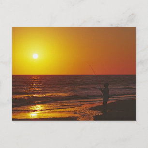 Nordamerika, USA, Florida, Sanibel Island. Postkarte