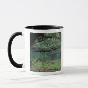 Nordamerika, USA, Georgia, Cumberland Tasse