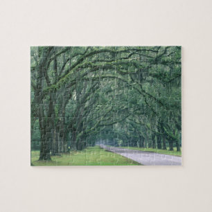 Nordamerika, USA, Georgia, Savannah,