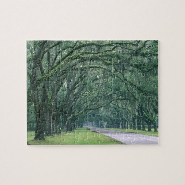 Nordamerika, USA, Georgien, Savannah, (Horizontal)