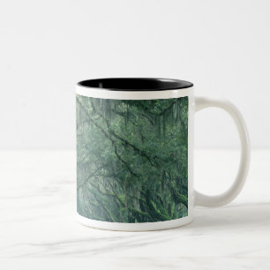 Nordamerika, USA, Georgien, Savannah, Zweifarbige Tasse