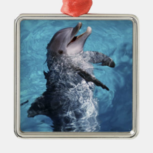Nordamerika, USA, Hawaii. Delfin Ornament Aus Metall