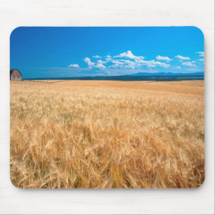 Nordamerika, USA, Idaho. Gerstenfeld in Mousepad