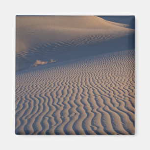 Nordamerika, USA, Kalifornien, Death Valley Magnet