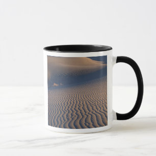 Nordamerika, USA, Kalifornien, Death Valley Tasse