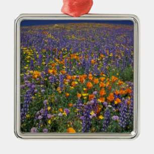 Nordamerika, USA, Kalifornien, Los Angeles 2 Silbernes Ornament