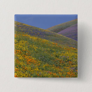 Nordamerika, USA, Kalifornien, Los Angeles Button