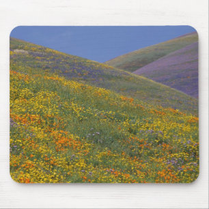 Nordamerika, USA, Kalifornien, Los Angeles Mousepad