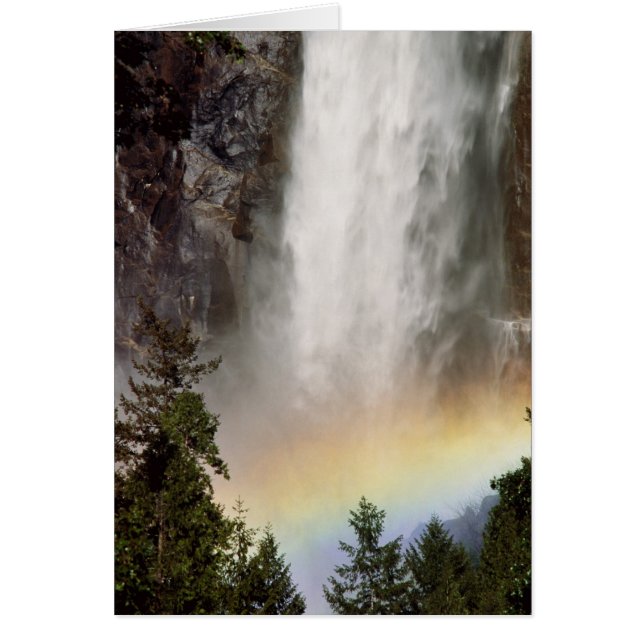 Nordamerika, USA, Kalifornien, Yosemite (Vorne)