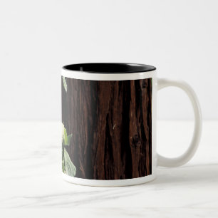 Nordamerika, USA, Kalifornien, Yosemite 2 Zweifarbige Tasse