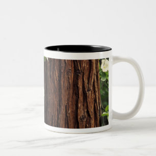 Nordamerika, USA, Kalifornien, Yosemite 3 Zweifarbige Tasse
