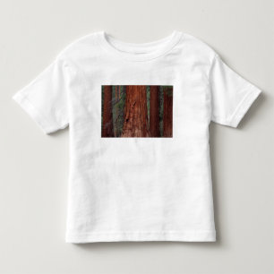 Nordamerika, USA, Kalifornien, Yosemite NP, 2 Kleinkind T-shirt