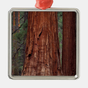 Nordamerika, USA, Kalifornien, Yosemite NP, 2 Silbernes Ornament