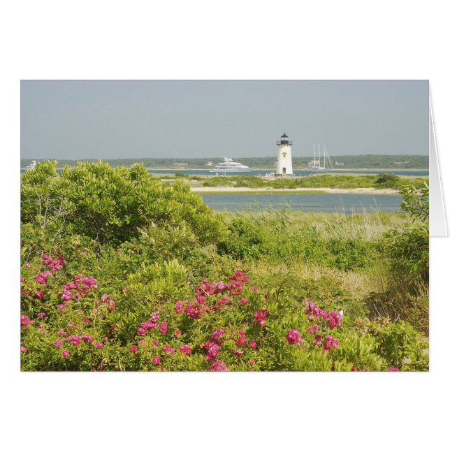 Nordamerika, USA, Massachusetts, Martha (Vorderseite (Horizontal))