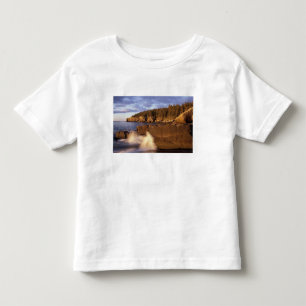 Nordamerika, USA, ME, Die felsige Küste von Maine. Kleinkind T-shirt