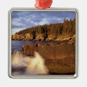 Nordamerika, USA, ME, Die felsige Küste von Maine. Silbernes Ornament