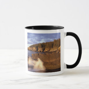Nordamerika, USA, ME, Die felsige Küste von Maine. Tasse