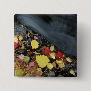 Nordamerika, USA, ME, Ein Bach im Herbst. Button