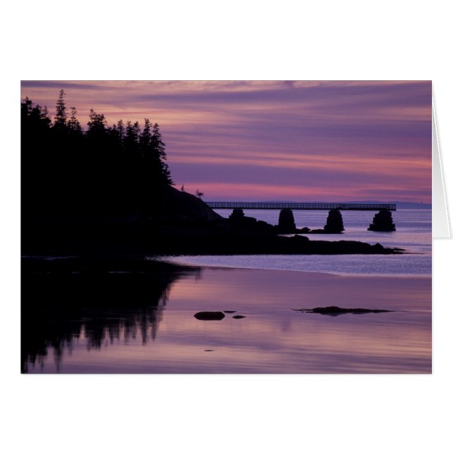 Nordamerika, USA, ME, Isle Au Haut. Duck (Vorderseite (Horizontal))