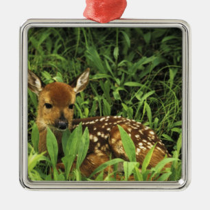 Nordamerika, USA, Minnesota. Weißwedel- Ornament Aus Metall
