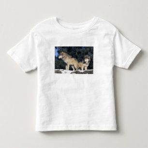 Nordamerika, USA, Minnesota. Wolf Canis 2 Kleinkind T-shirt