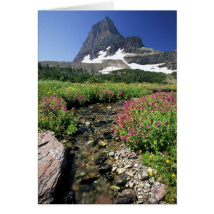 Nordamerika, USA, Montana, Glacier National 3
