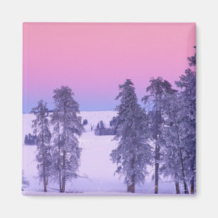 Nordamerika, USA, Montana, Yellowstone Magnet