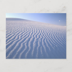 Nordamerika, USA, New Mexico, Weiße Sanddünen Postkarte