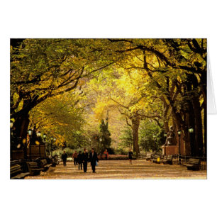 Nordamerika, USA, New York, New York City. 12